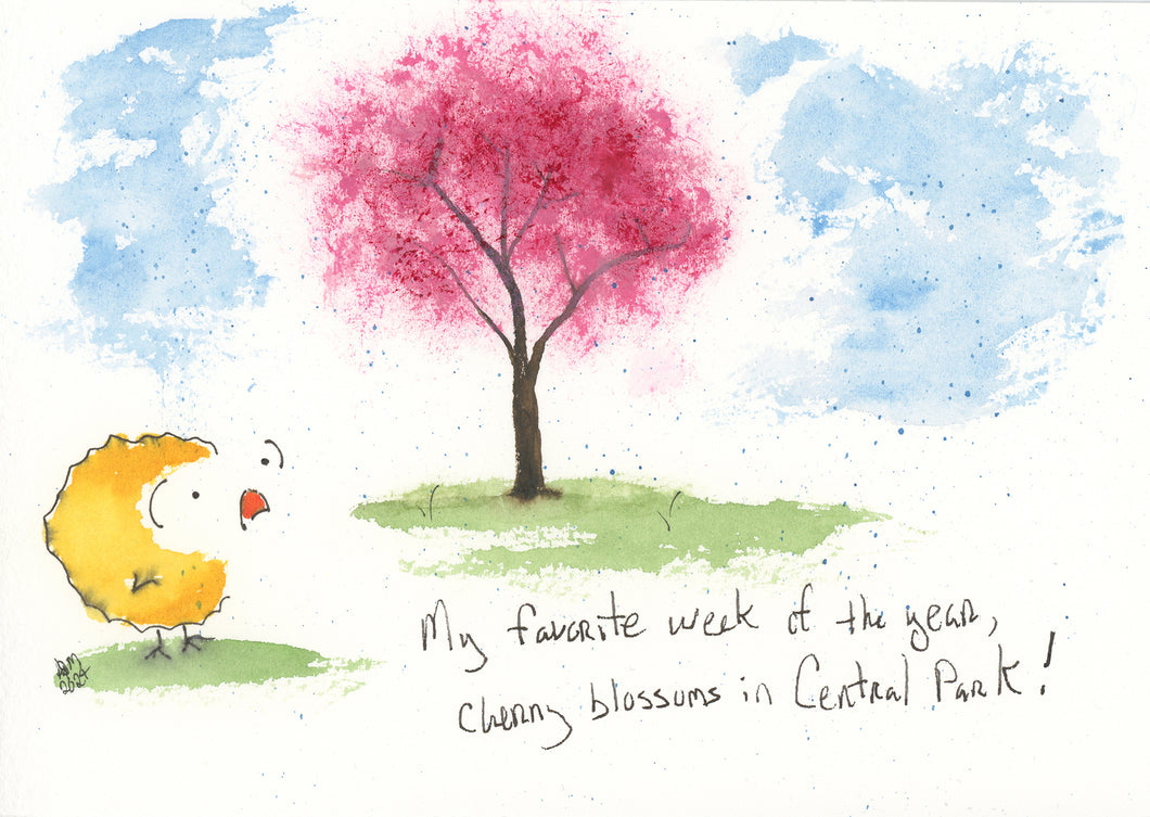 My favorite week of the year, Cherry Blossoms in Central Park!