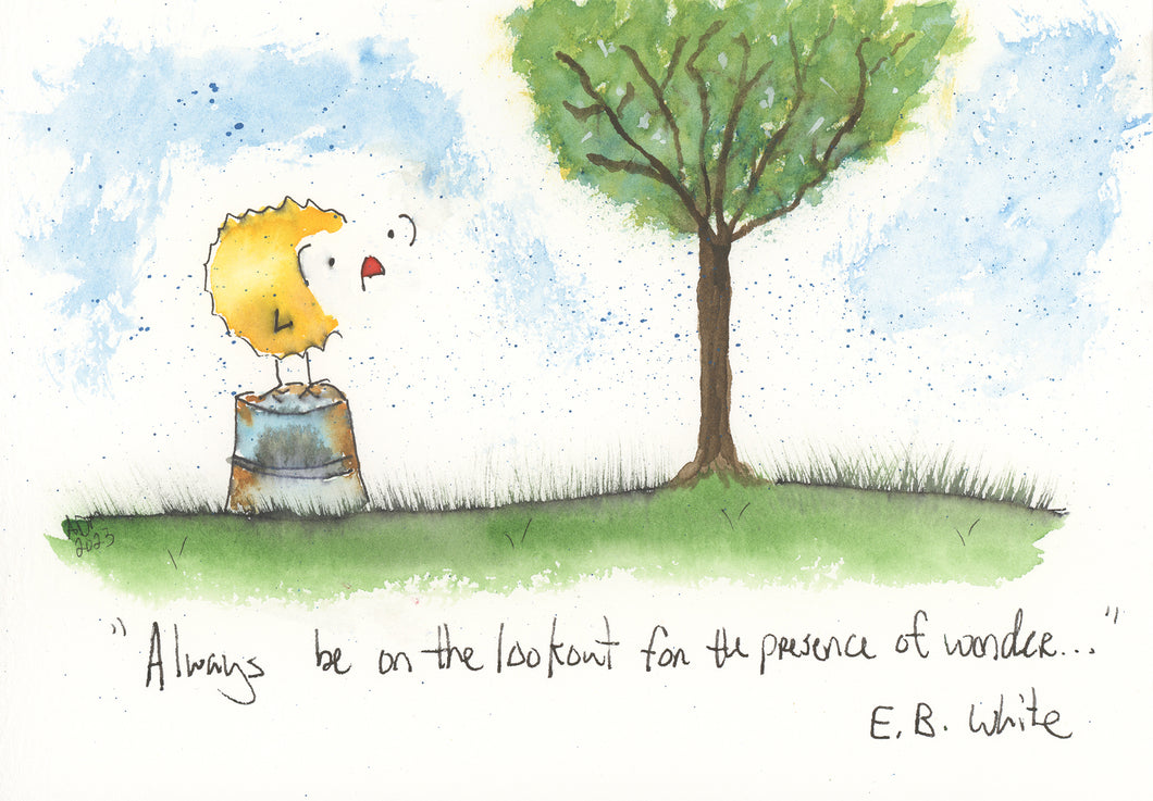 Always be on the lookout for the presence of wonder.
