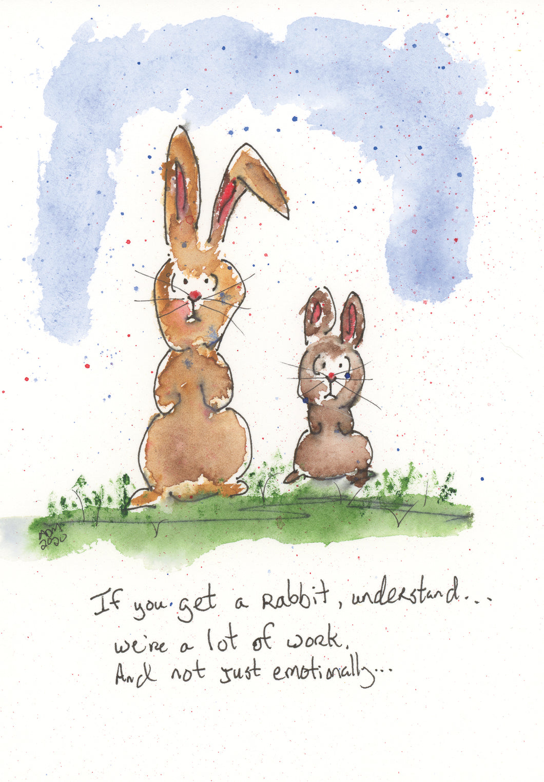 If you get a rabbit understand, we're are a lot of work, and not just emotionally